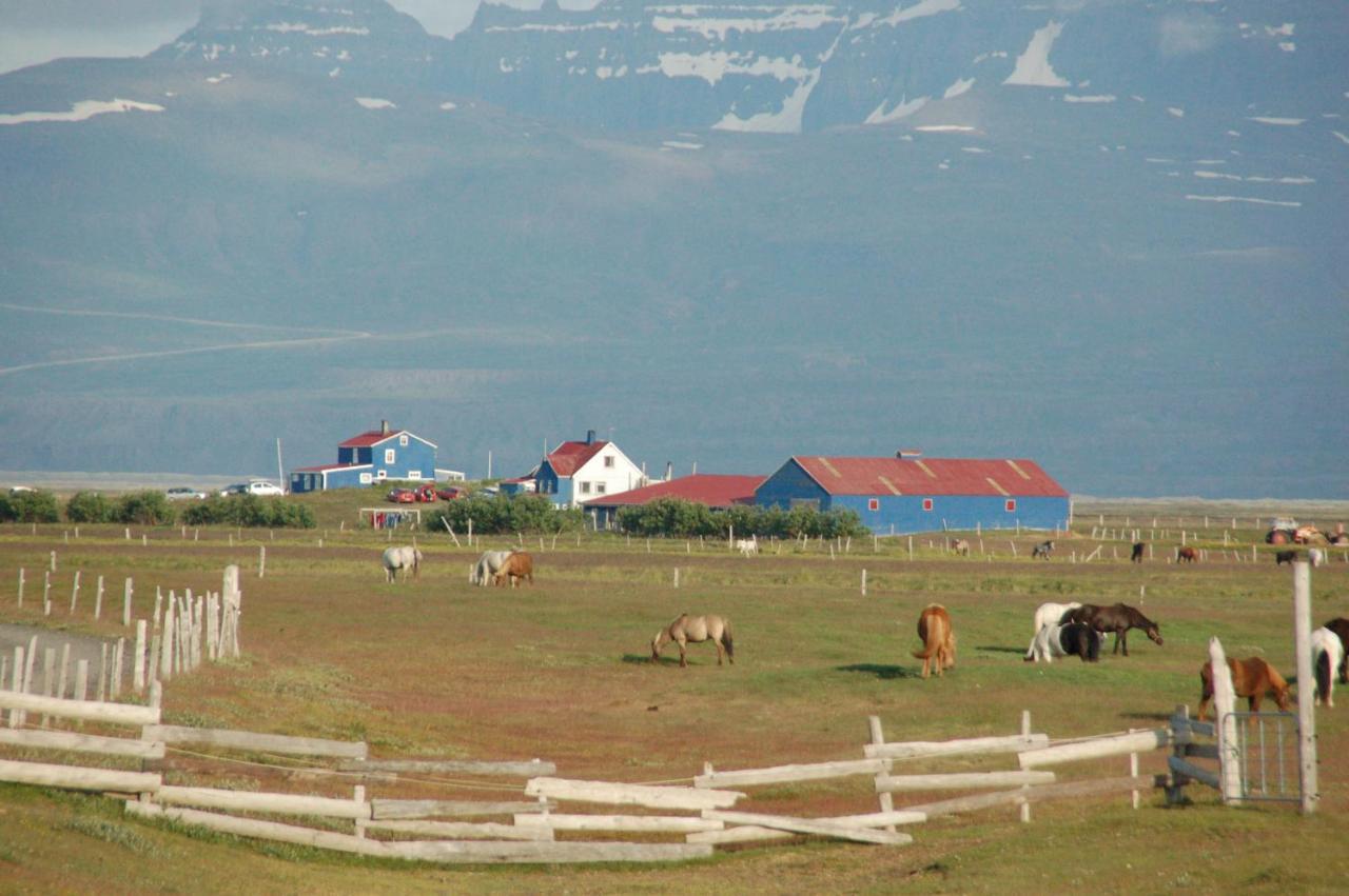 Husey Hostel & Horsefarm Egilsstadir Exterior photo